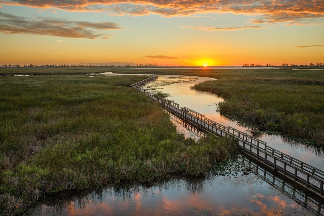 Coastal boardwalk with elegant hotel facade at golden hour